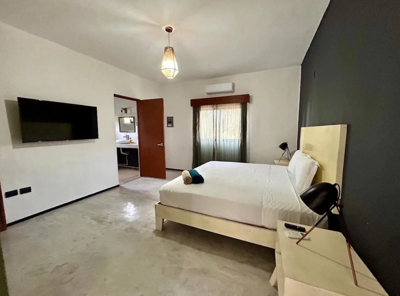דירות פלאייה דל כרמן Private 3 Floors Building