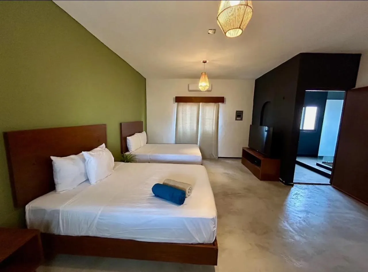 דירות פלאייה דל כרמן Private 3 Floors Building